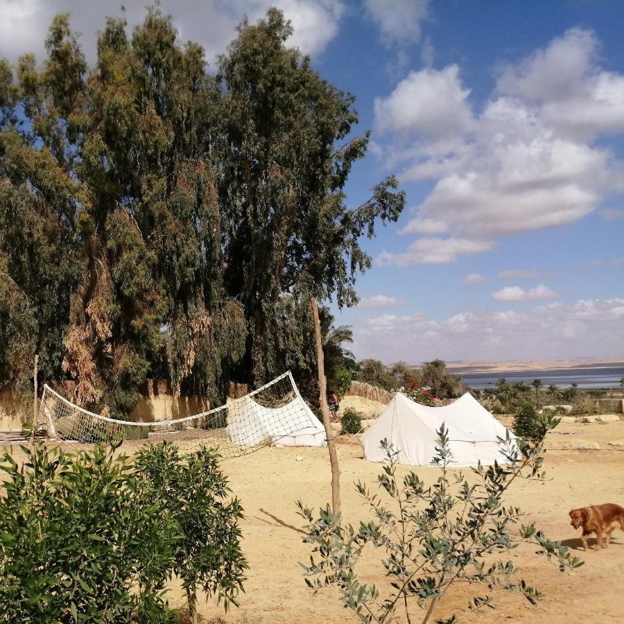 Tunis Village El-Al Fayyūm Kamer foto